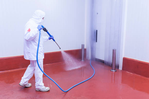 Best Oil Spill Cleanup  in East Quincy, CA